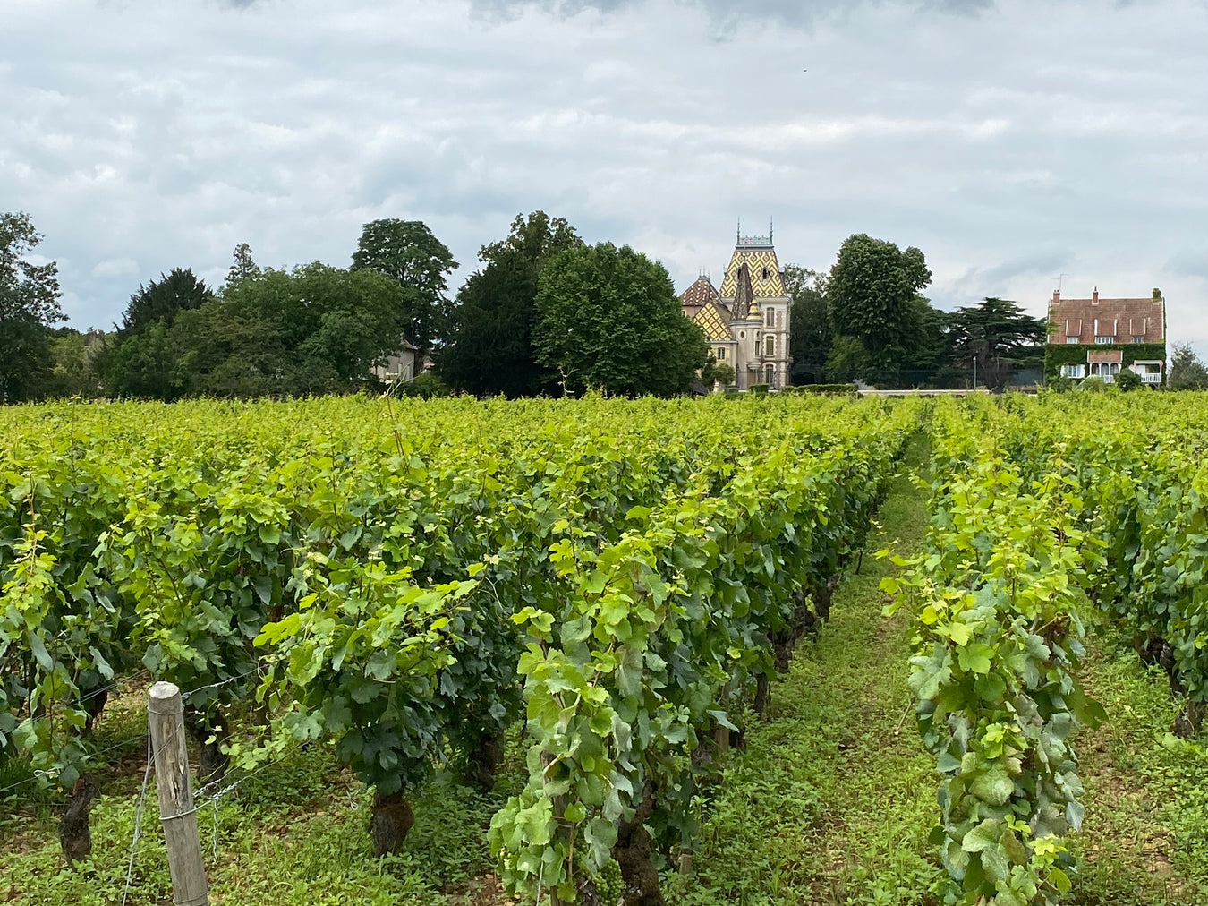 Beaujolais & Bourgogne